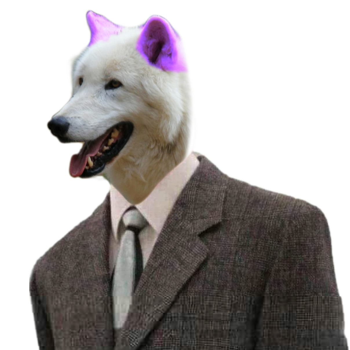 2fur's head
